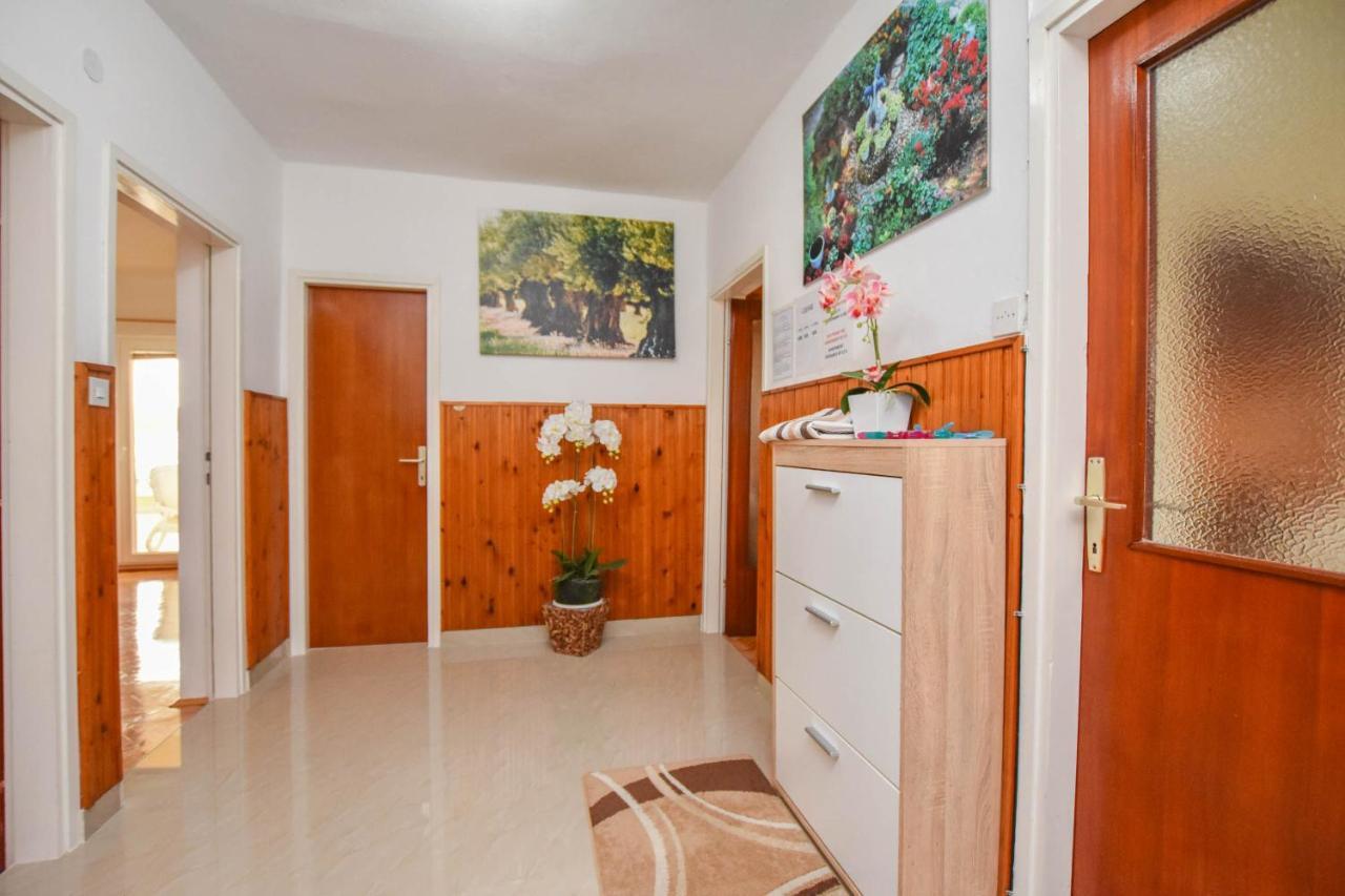 Apartment Dandelion *