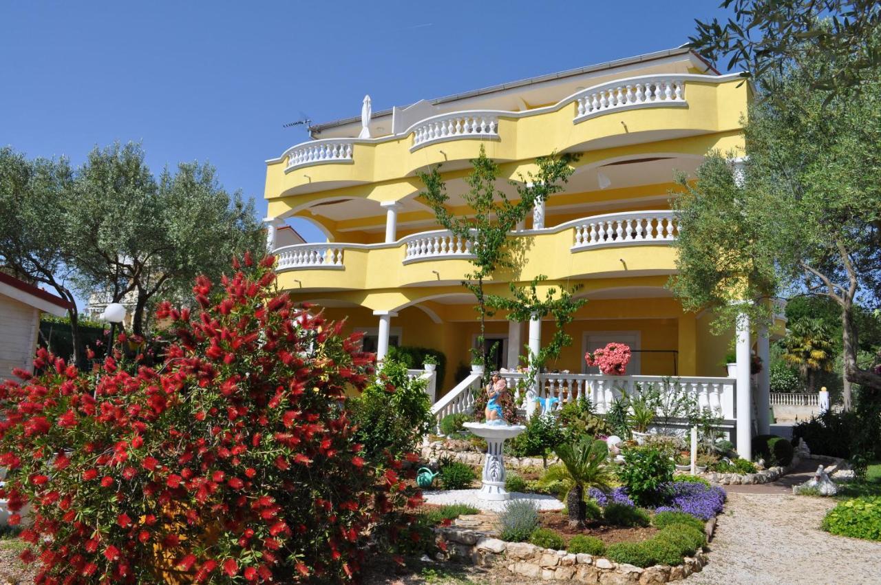 Apartment Dandelion Biograd Na Moru
